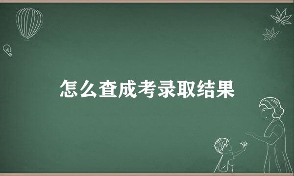 怎么查成考录取结果