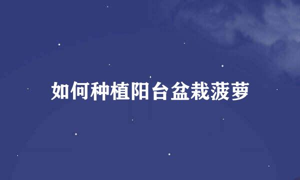 如何种植阳台盆栽菠萝