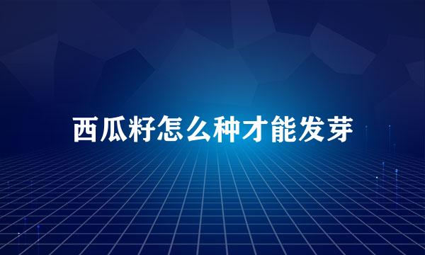 西瓜籽怎么种才能发芽
