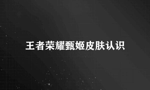 王者荣耀甄姬皮肤认识