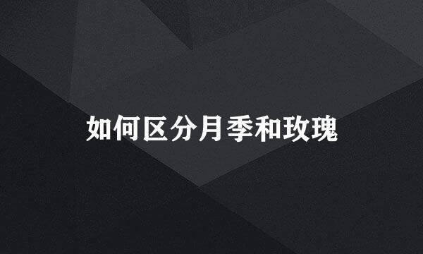 如何区分月季和玫瑰