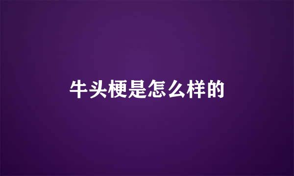牛头梗是怎么样的