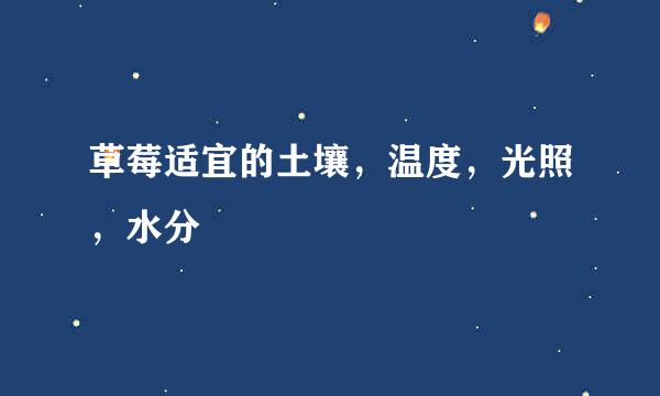 草莓适宜的土壤，温度，光照，水分