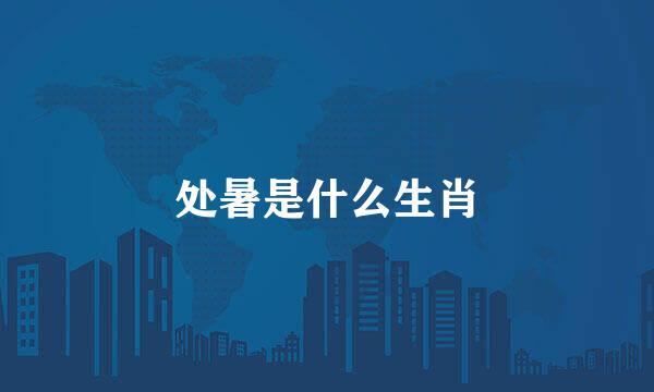 处暑是什么生肖