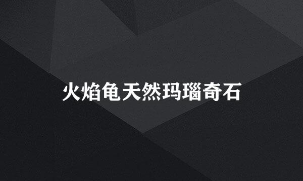 火焰龟天然玛瑙奇石