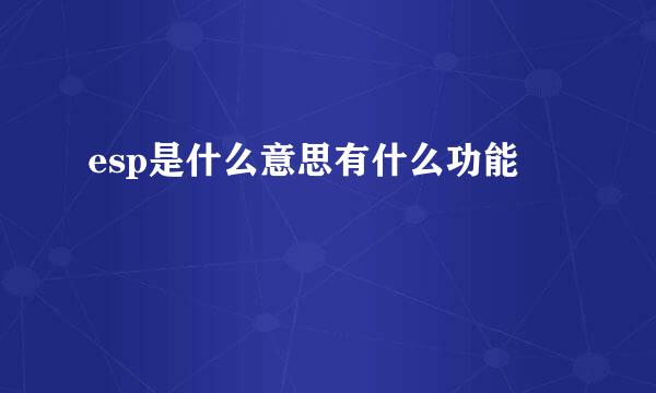 esp是什么意思有什么功能