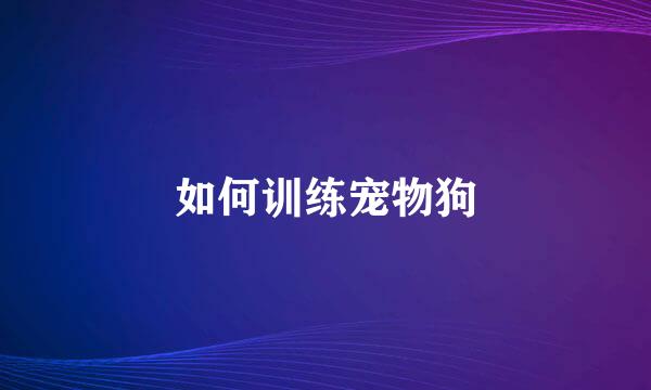 如何训练宠物狗