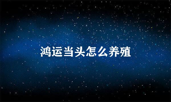 鸿运当头怎么养殖