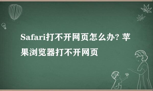 Safari打不开网页怎么办? 苹果浏览器打不开网页