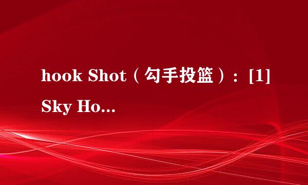 hook Shot（勾手投篮）：[1]Sky Hook—天勾