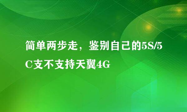 简单两步走，鉴别自己的5S/5C支不支持天翼4G