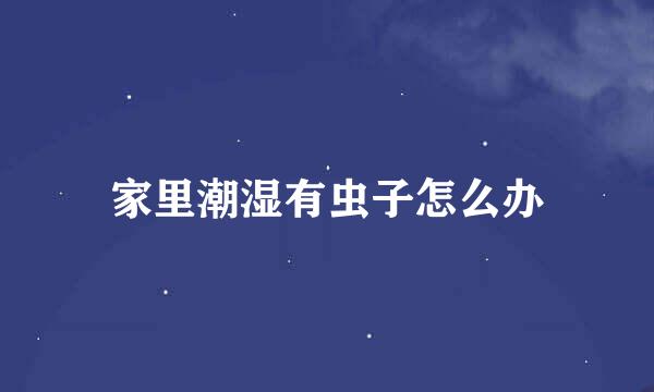家里潮湿有虫子怎么办