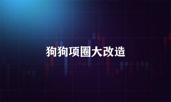狗狗项圈大改造