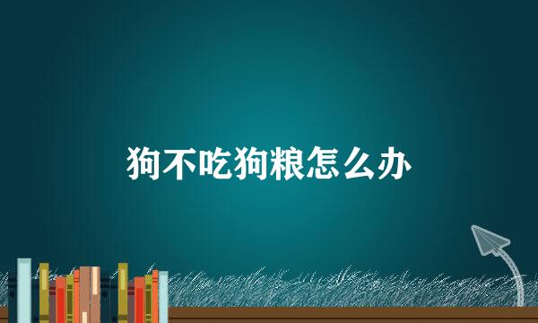 狗不吃狗粮怎么办