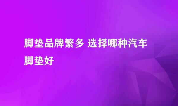 脚垫品牌繁多 选择哪种汽车脚垫好