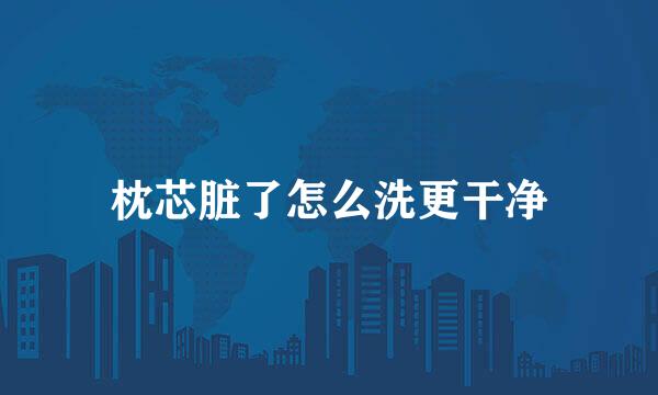 枕芯脏了怎么洗更干净