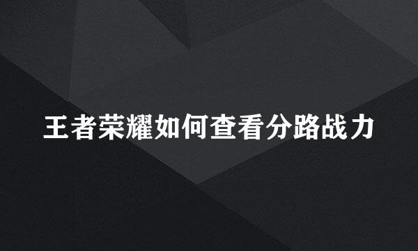 王者荣耀如何查看分路战力