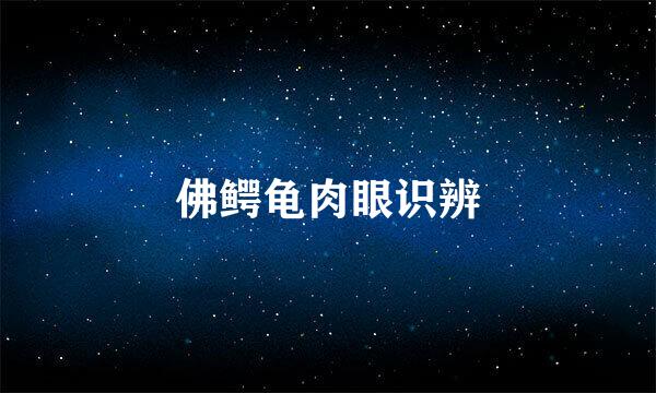佛鳄龟肉眼识辨