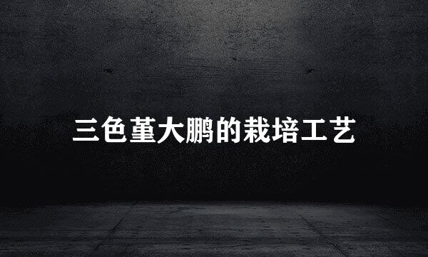 三色堇大鹏的栽培工艺