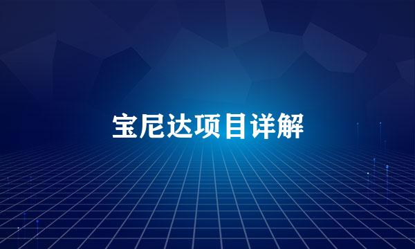 宝尼达项目详解