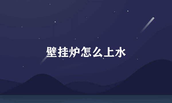 壁挂炉怎么上水