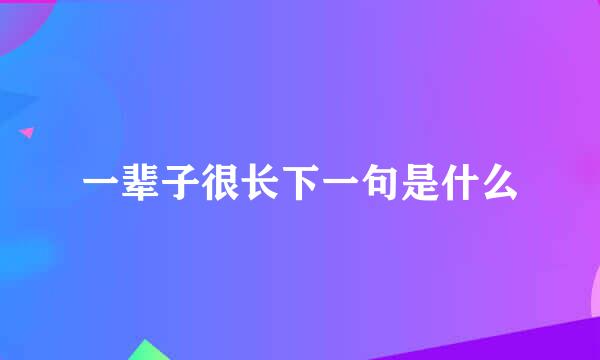 一辈子很长下一句是什么