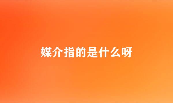 媒介指的是什么呀