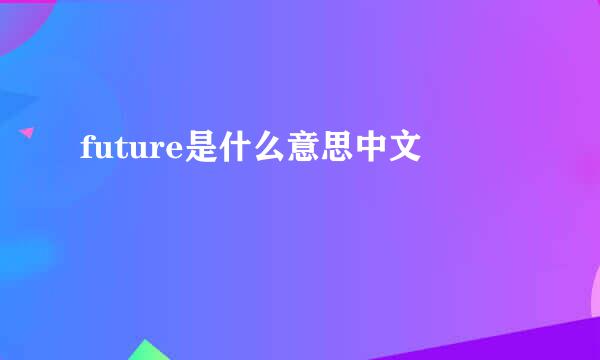 future是什么意思中文