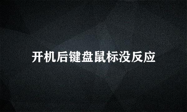 开机后键盘鼠标没反应