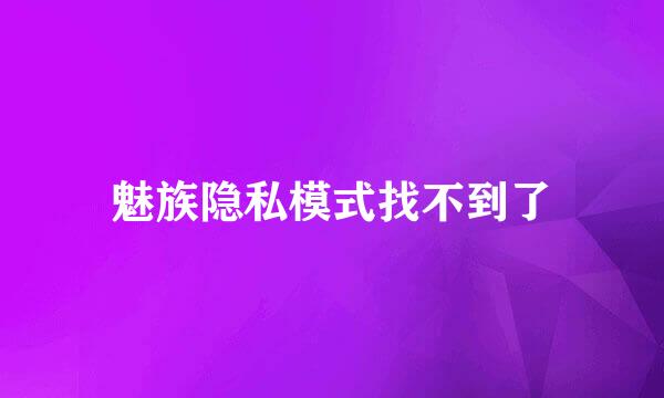魅族隐私模式找不到了