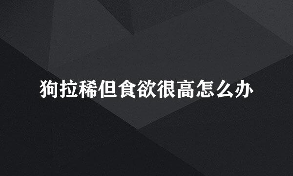 狗拉稀但食欲很高怎么办