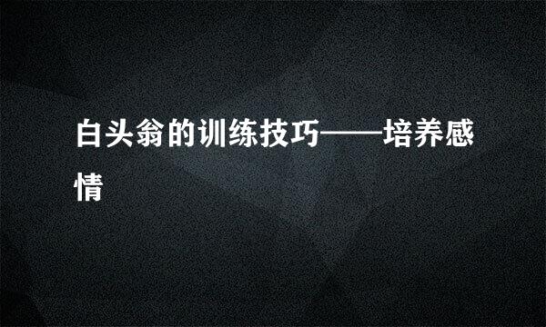 白头翁的训练技巧——培养感情