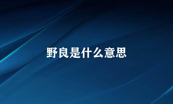 野良是什么意思