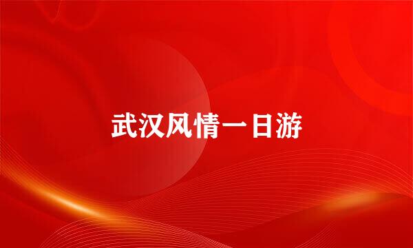 武汉风情一日游