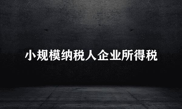 小规模纳税人企业所得税
