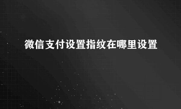 微信支付设置指纹在哪里设置