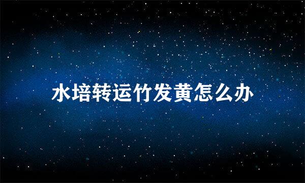 水培转运竹发黄怎么办