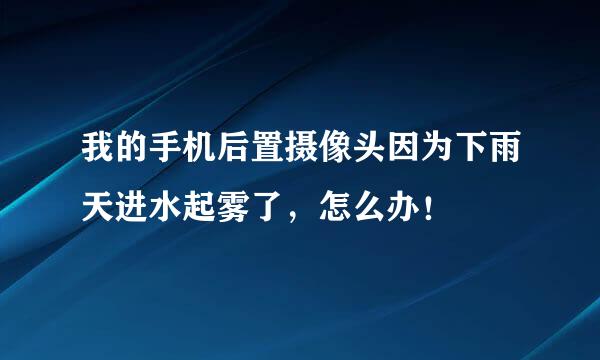 我的手机后置摄像头因为下雨天进水起雾了，怎么办！