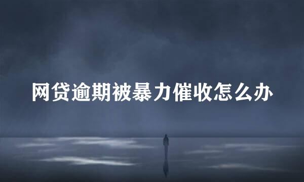 网贷逾期被暴力催收怎么办