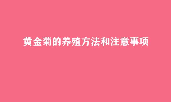 黄金菊的养殖方法和注意事项