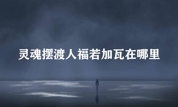 灵魂摆渡人福若加瓦在哪里