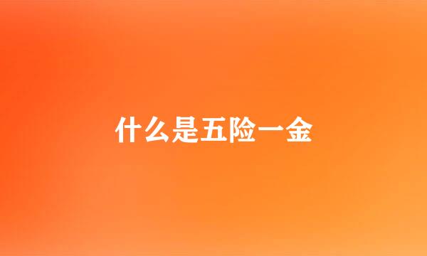 什么是五险一金