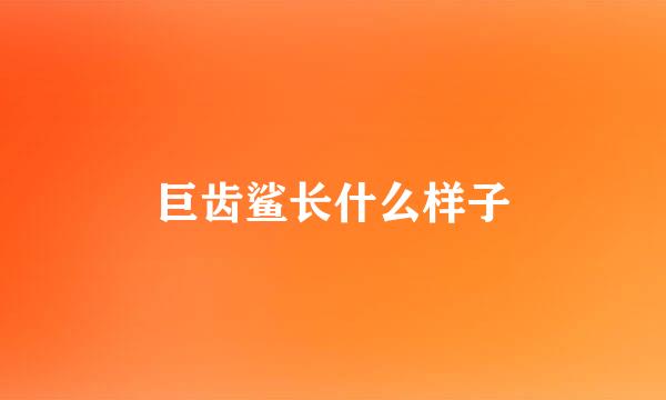 巨齿鲨长什么样子