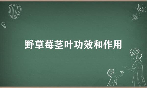 野草莓茎叶功效和作用