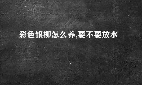 彩色银柳怎么养,要不要放水