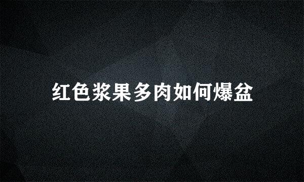 红色浆果多肉如何爆盆