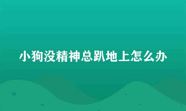 小狗没精神总趴地上怎么办