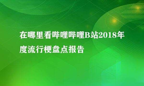 在哪里看哔哩哔哩B站2018年度流行梗盘点报告