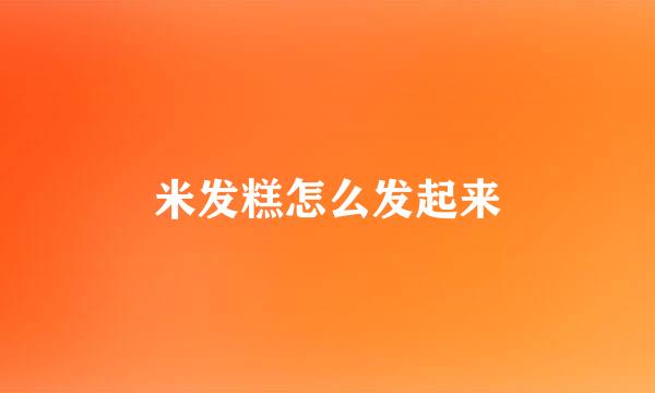 米发糕怎么发起来