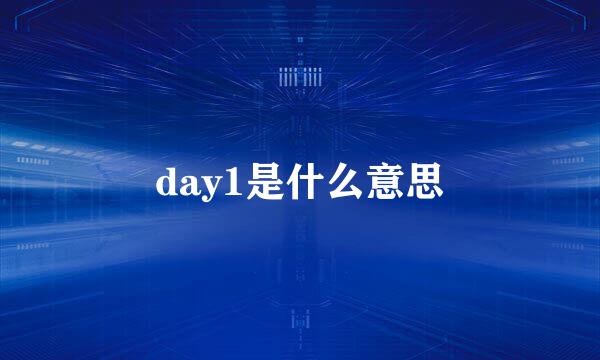 day1是什么意思
